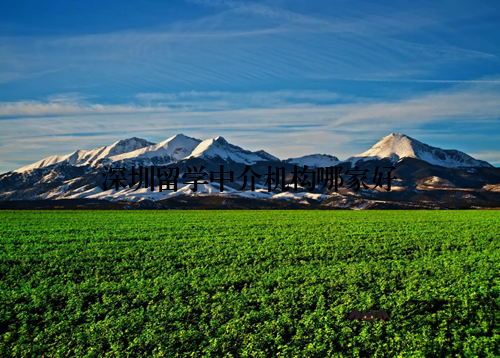 深圳留学中介机构哪家好