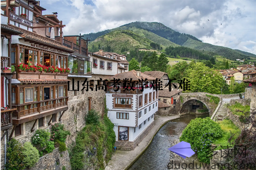 山东高考数学难不难