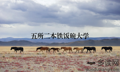 五所二本铁饭碗大学