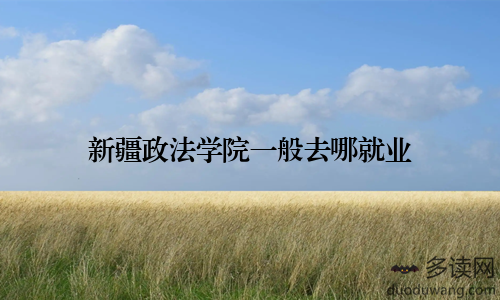 新疆政法学院一般去哪就业