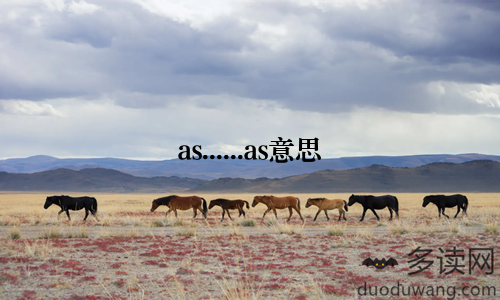 as......as意思