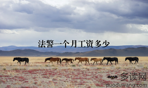 法警一个月工资多少
