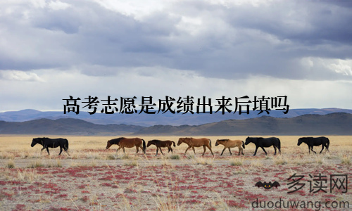 高考志愿是成绩出来后填吗