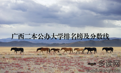 广西二本公办大学排名榜及分数线