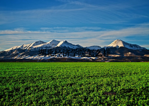 湖北经济学院怎么样