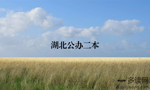 湖北公办二本