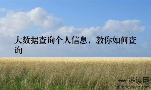 大数据查询个人信息，教你如何查询