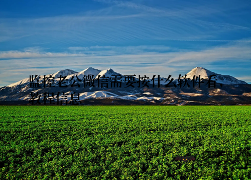 监控老公微信需要按什么软件看，教程信息