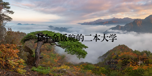 七个金饭碗的二本大学