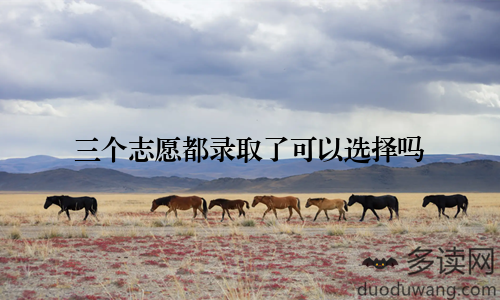 三个志愿都录取了可以选择吗