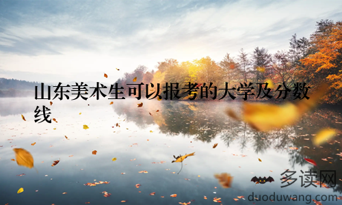 山东美术生可以报考的大学及分数线