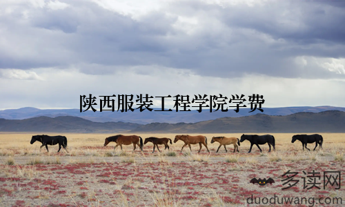 陕西服装工程学院学费