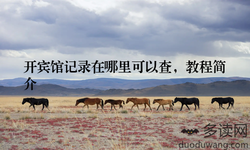 开宾馆记录在哪里可以查，教程简介