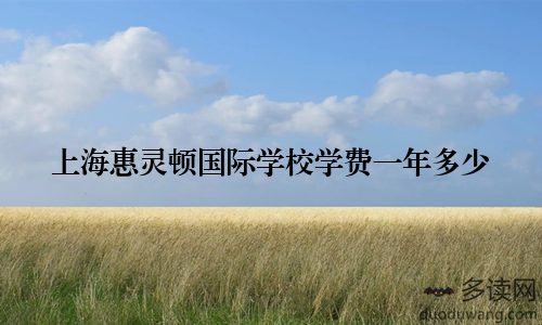 上海惠灵顿国际学校学费一年多少