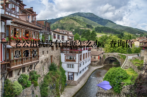 老公出轨没有证据怎么办，查询信息分享