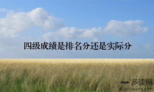 四级成绩是排名分还是实际分