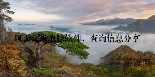 聊天记录追踪软件，查询信息分享