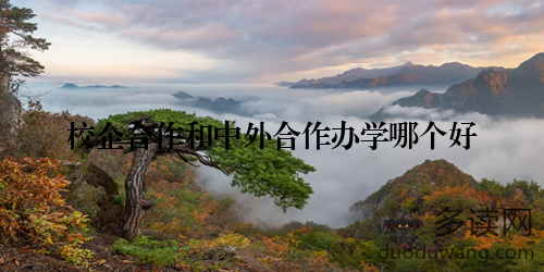 校企合作和中外合作办学哪个好