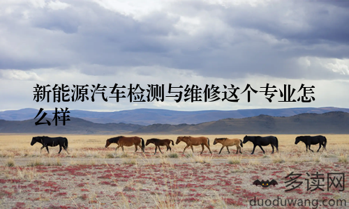 新能源汽车检测与维修这个专业怎么样