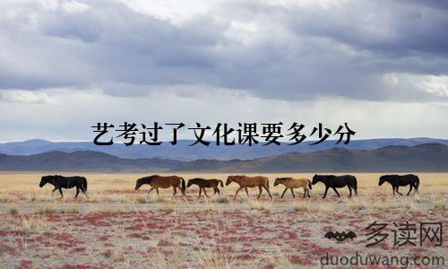 艺考过了文化课要多少分