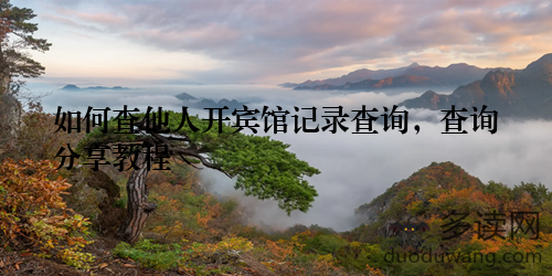 如何查他人开宾馆记录查询，查询分享教程