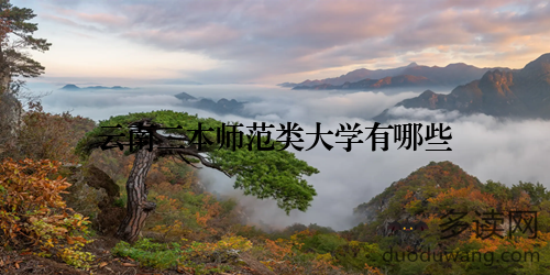 云南二本师范类大学有哪些