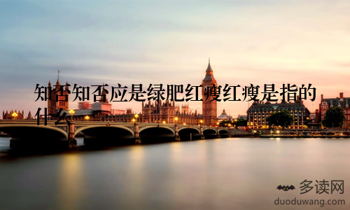 知否知否应是绿肥红瘦红瘦是指的什么