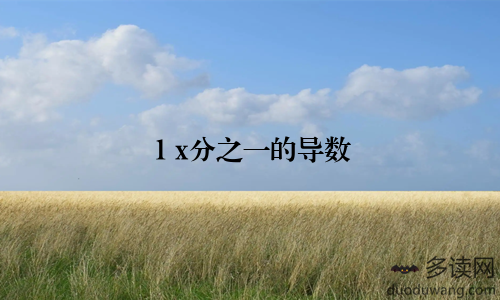 1+x分之一的导数