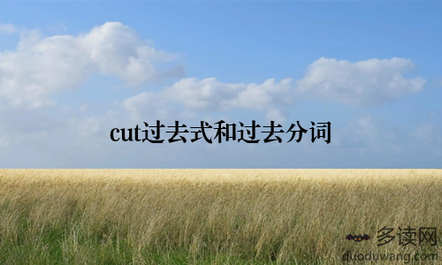 cut过去式和过去分词
