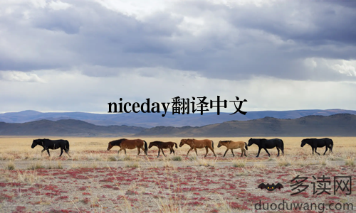 niceday翻译中文