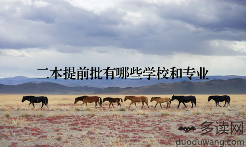 二本提前批有哪些学校和专业