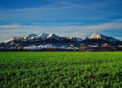 手机怎么安装监控软件，查询信息分享