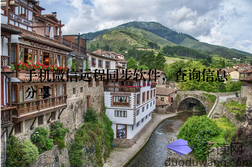 手机微信远程同步软件，查询信息分享