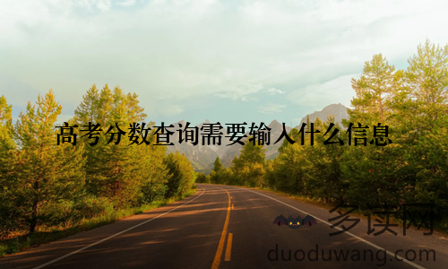 高考分数查询需要输入什么信息