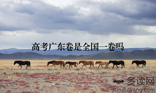 高考广东卷是全国一卷吗