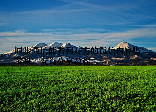 同步微信能看到对方的微信内容吗苹果，查询分享教程