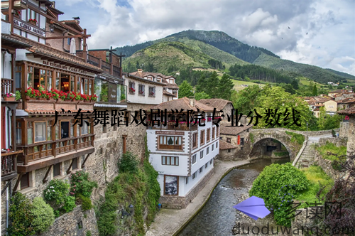 广东舞蹈戏剧学院专业分数线