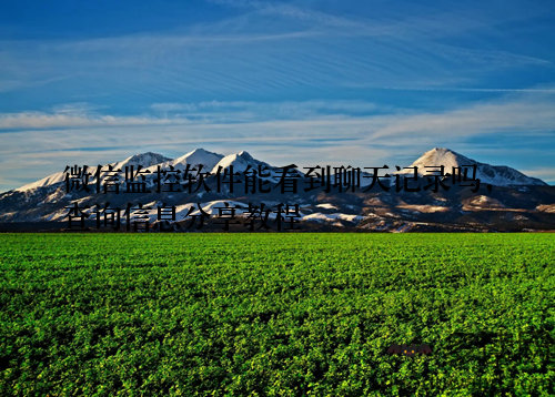 微信监控软件能看到聊天记录吗，查询信息分享教程
