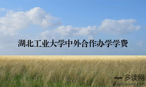 湖北工业大学中外合作办学学费