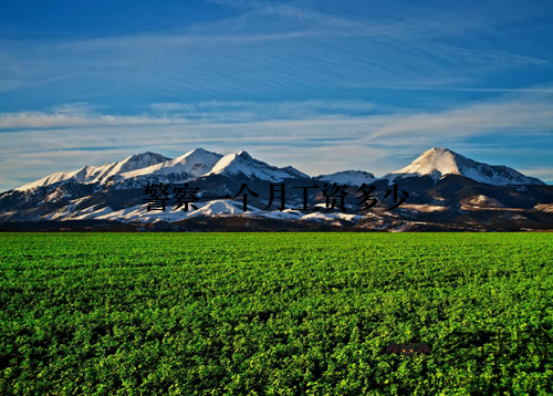 警察一个月工资多少