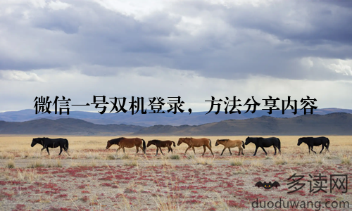 微信一号双机登录，方法分享内容