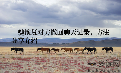 一键恢复对方撤回聊天记录，方法分享介绍