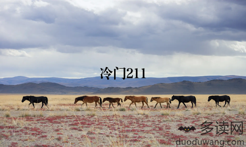 冷门211
