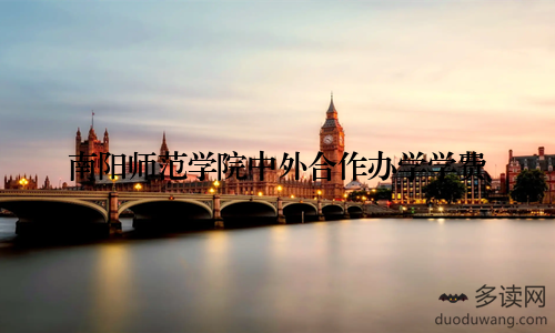 南阳师范学院中外合作办学学费