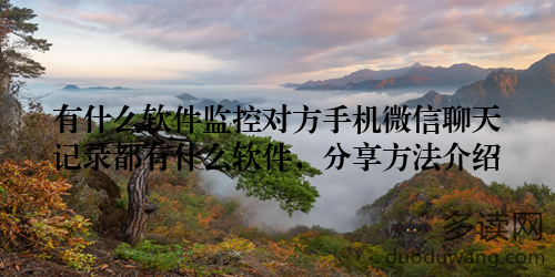 有什么软件监控对方手机微信聊天记录都有什么软件，分享方法介绍