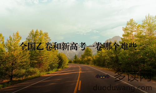 全国乙卷和新高考一卷哪个难些
