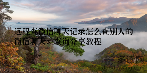 远程查微信聊天记录怎么查别人的微信聊天，查询分享教程