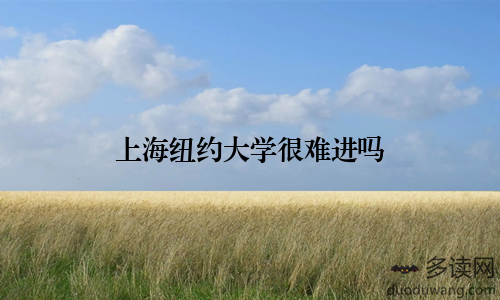 上海纽约大学很难进吗