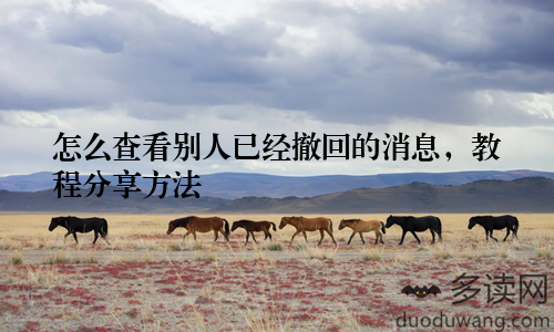 怎么查看别人已经撤回的消息，教程分享方法