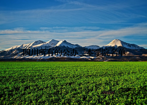 四川所有的公办二本学院名单